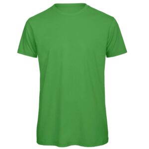 B&C Collection Inspire T Men TM042