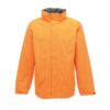 sun-orange-seal-grey-2