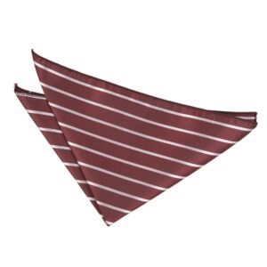 DQT Single Stripe Pocket Square Adult