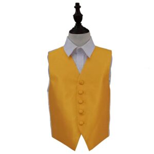 DQT Solid Check Waistcoat Youth