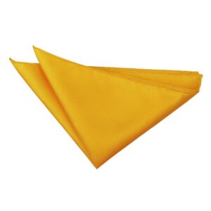 DQT Solid Check Pocket Square Adult
