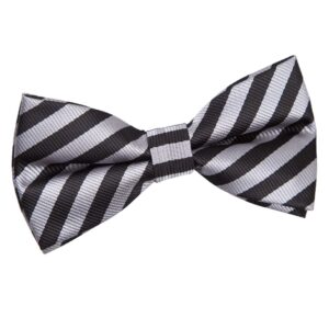 DQT Thin Stripe Pre-Tied Bow Tie Adult